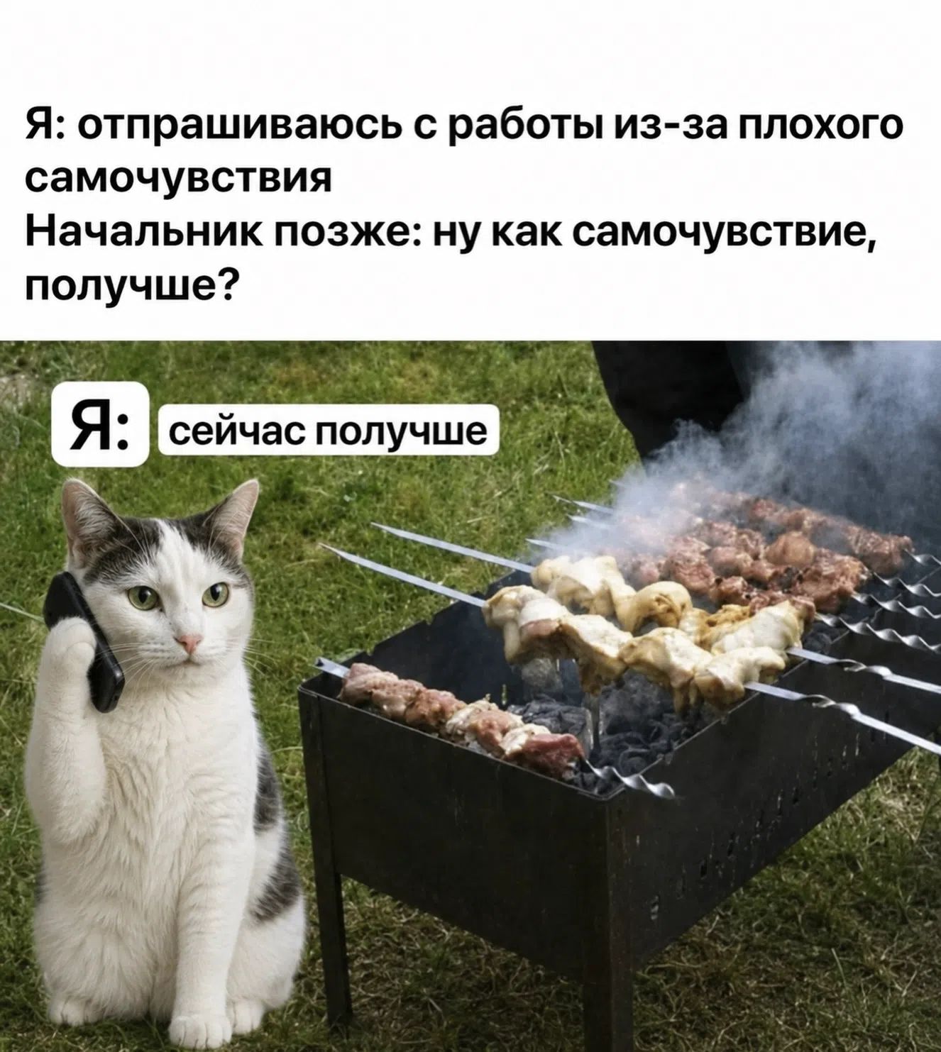 Я: отпрашиваюсь с работы из-за плохого самочувствия
Начальник позже: ну как самочувствие, получше?
Я: сейчас получше