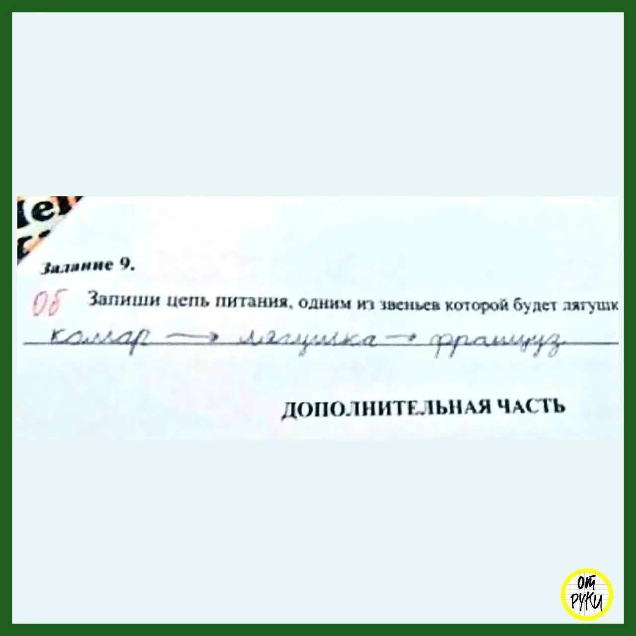 Задание 9. Запиши цепь питания, одним из звеньев которой будет лягушка. комар → лягушка → француз. ДОПОЛНИТЕЛЬНАЯ ЧАСТЬ. ОТ РУКИ