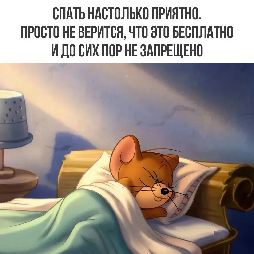 СПАТЬ НАСТОЛЬКО ПРИЯТНО. ПРОСТО НЕ ВЕРИТСЯ, ЧТО ЭТО БЕСПЛАТНО И ДО СИХ ПОР НЕ ЗАПРЕЩЕНО