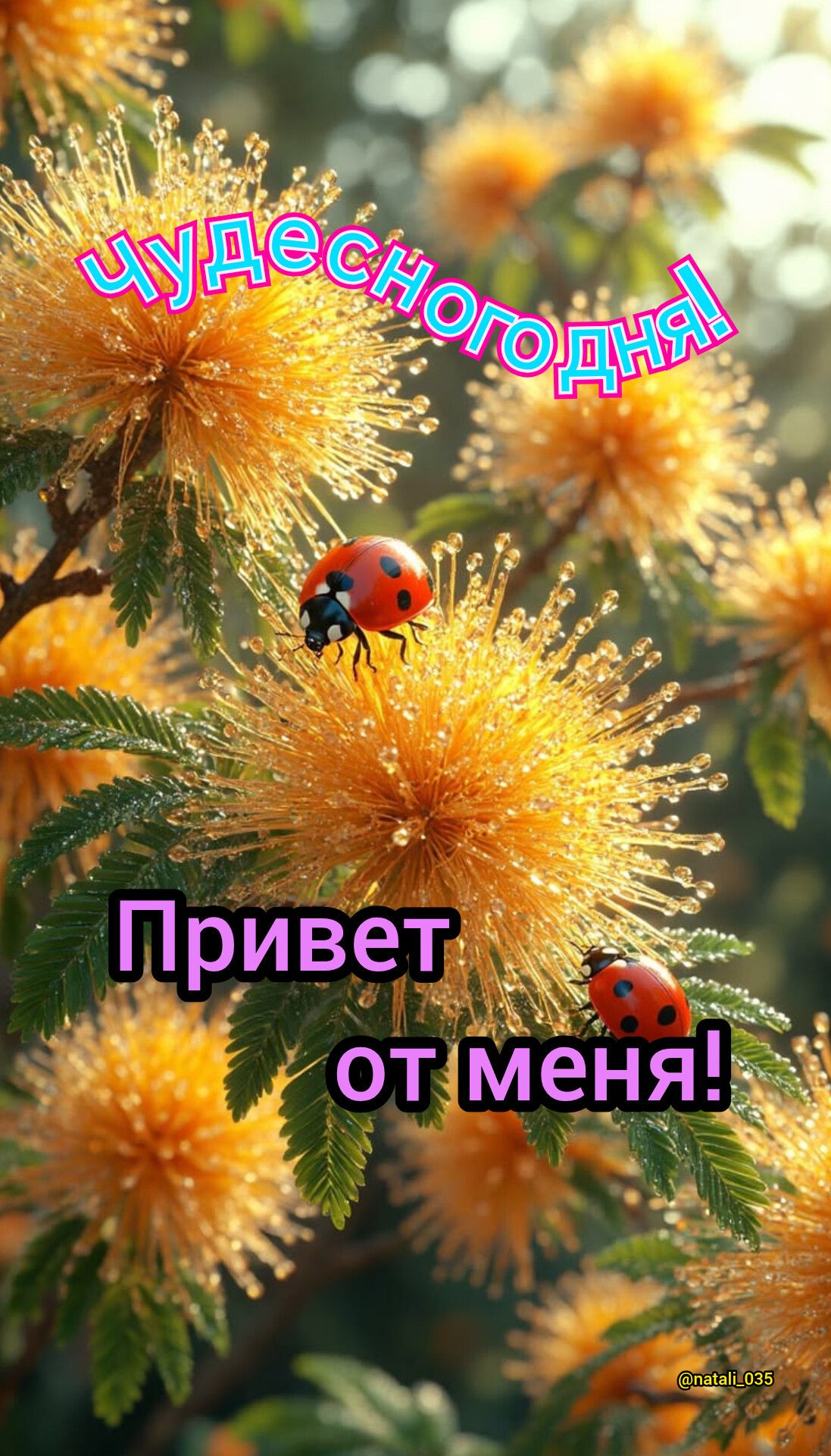 ЧУДЕСНОГО ДНЯ! Привет от меня!
