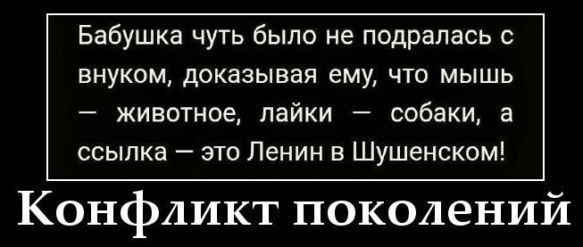 Бабушка чуть было не подралась с внуком, доказывая ему, что мышь — животное, лайки — собаки, а ссылка — это Ленин в Шушенском! Конфликт поколений