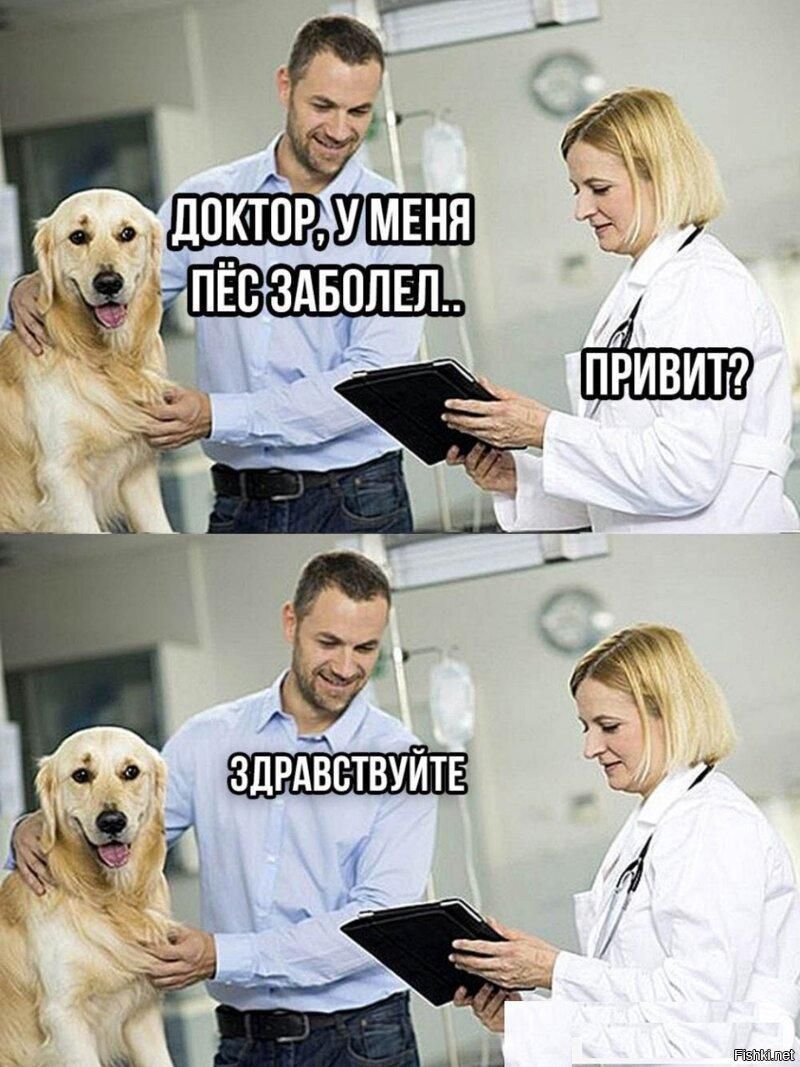 Доктор, у меня пёс заболел. Привит? Здравствуйте