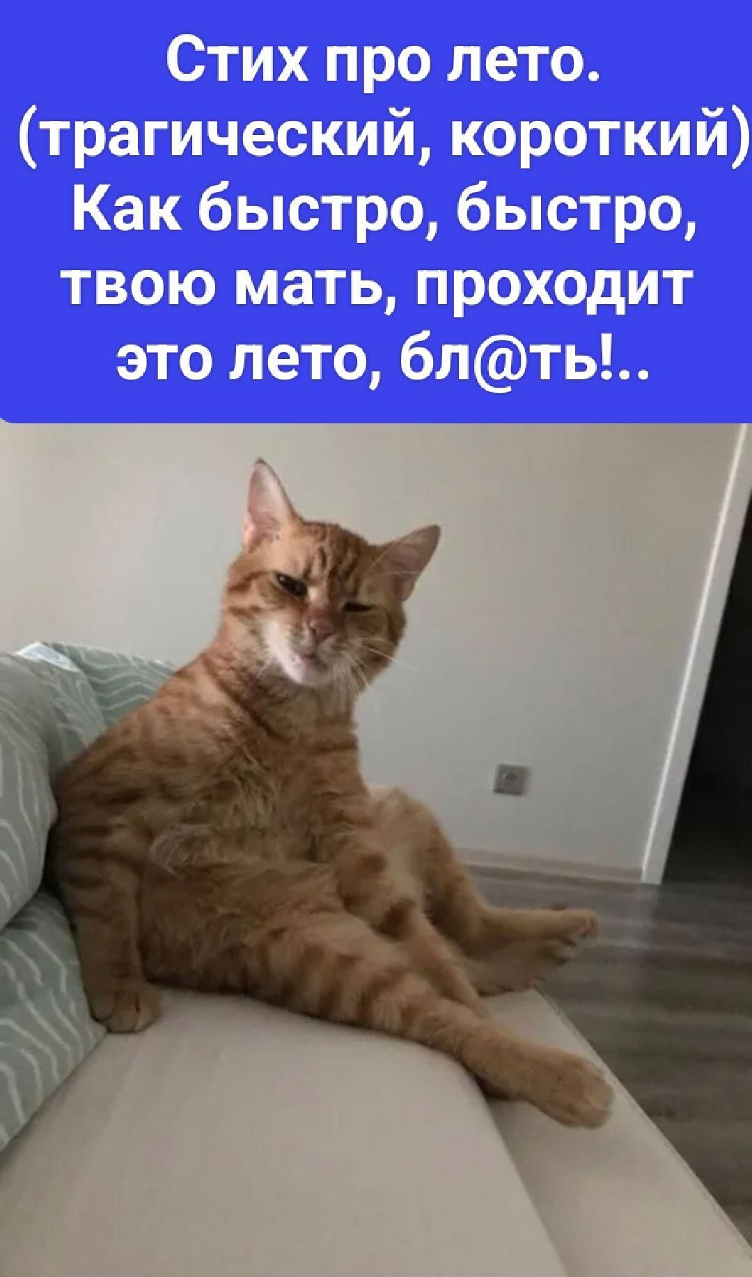 Стих про лето. (трагический, короткий) Как быстро, быстро, твою мать, проходит это лето, бл@ть!..