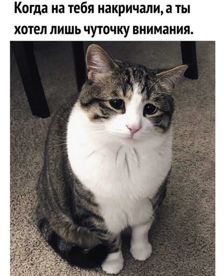 Когда на тебя накричали, а ты хотел лишь чуточку внимания.