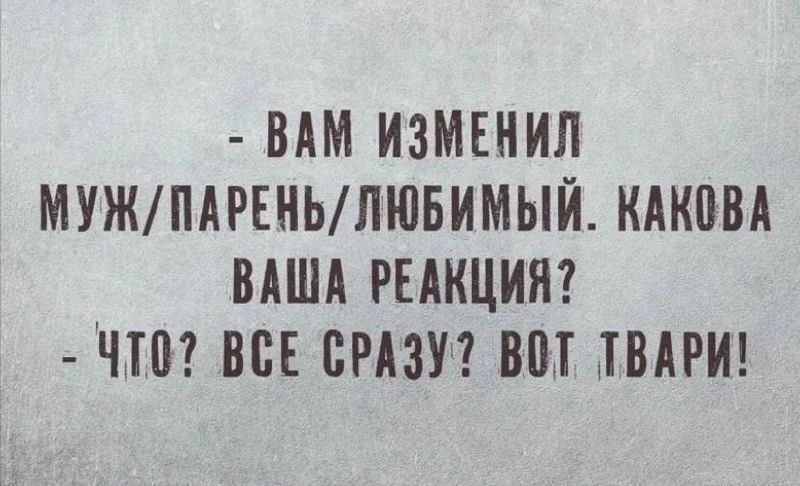 - Вам изменил муж/парень/любимый. Какова ваша реакция? - Что? Все сразу? Вот твари!
