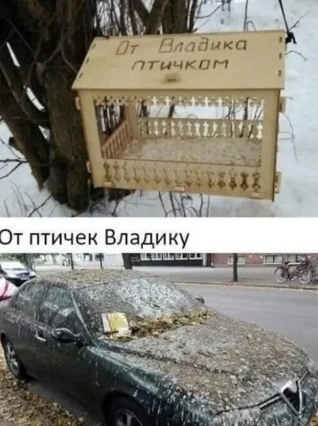 От Владика птичкам. От птичек Владику.