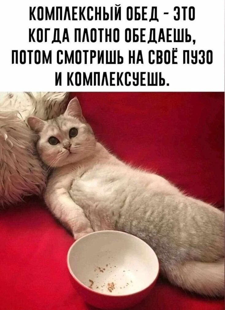 КОМПЛЕКСНЫЙ ОБЕД - ЭТО КОГДА ПЛОТНО ОБЕДАЕШЬ, ПОТОМ СМОТРИШЬ НА СВОЁ ПУЗО И КОМПЛЕКСУЕШЬ.