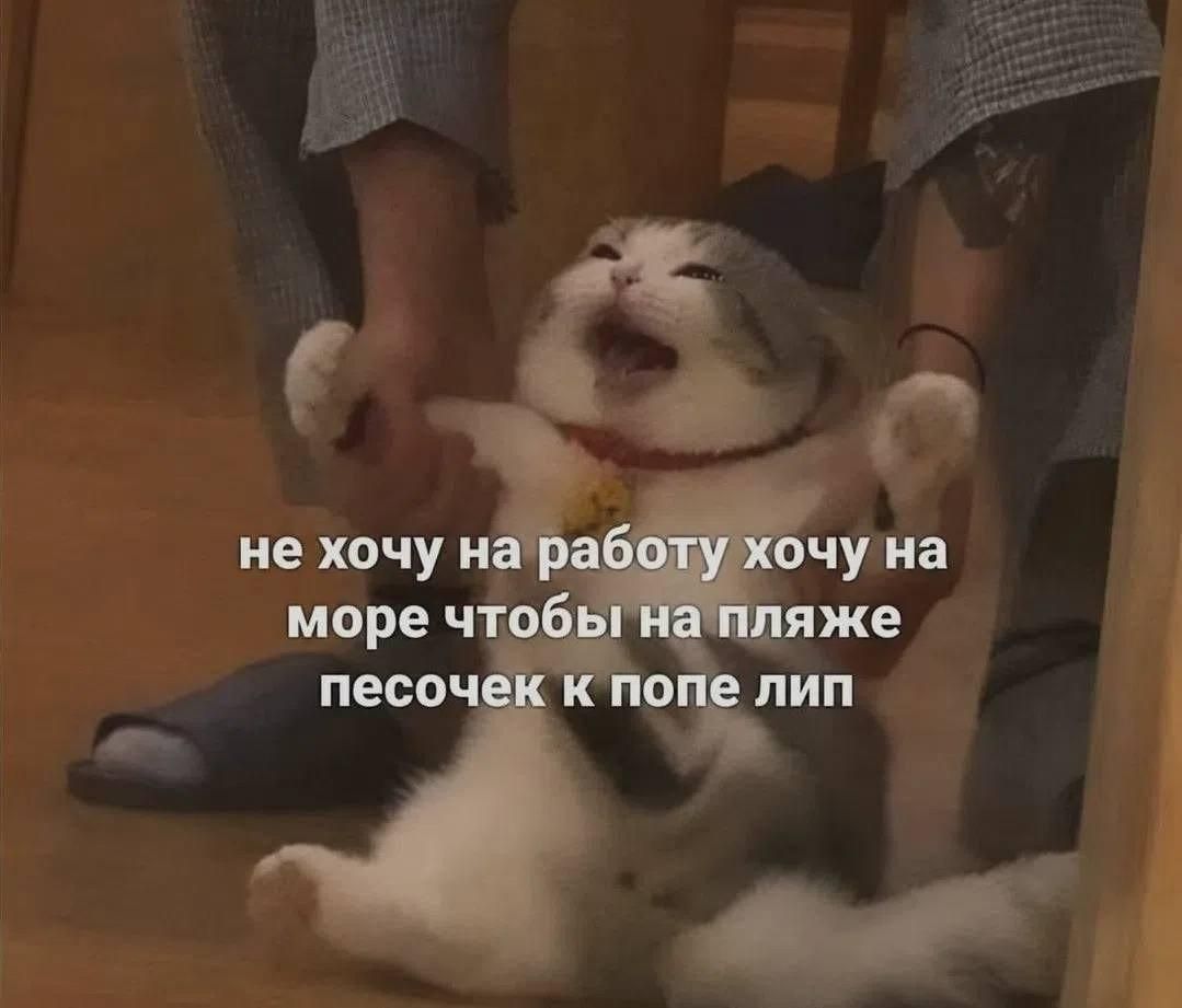 не хочу на работу хочу на море чтобы на пляже песочек к попе лип