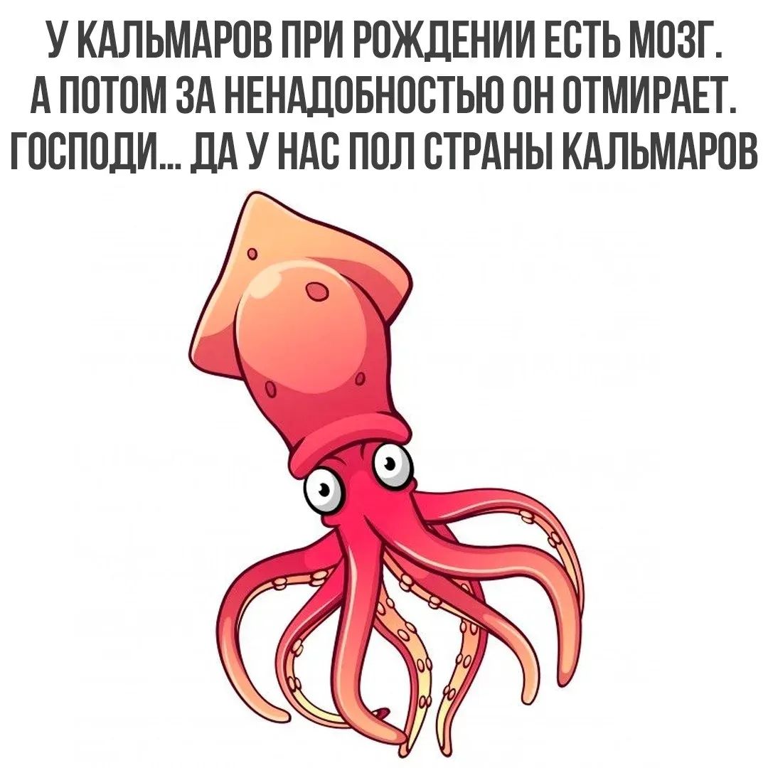 У КАЛЬМАРОВ ПРИ РОЖДЕНИИ ЕСТЬ МОЗГ. А ПОТОМ ЗА НЕНАДОБНОСТЬЮ ОН ОТМИРАЕТ. ГОСПОДИ... ДА У НАС ПОЛ СТРАНЫ КАЛЬМАРОВ
