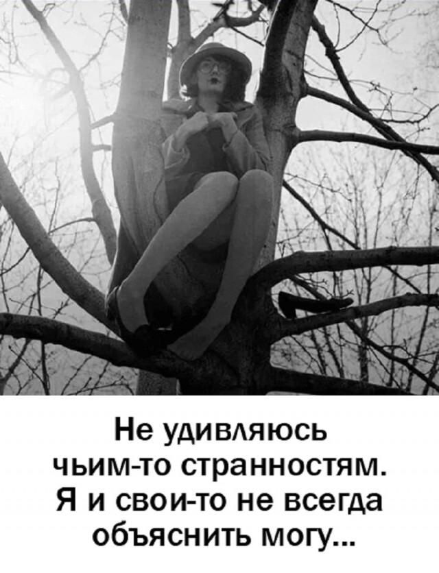 Не удивляюсь чьим-то странностям. Я и свои-то не всегда объяснить могу...