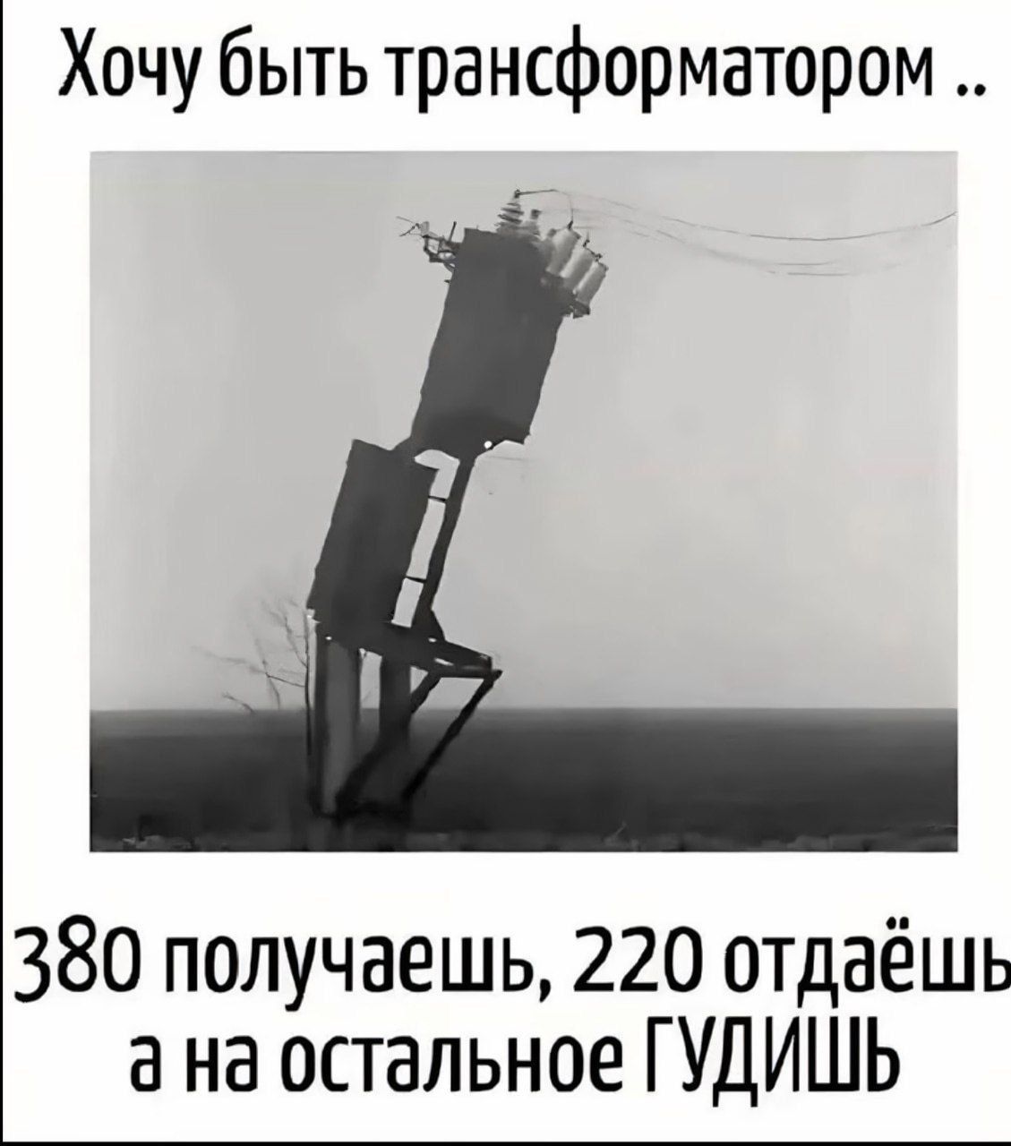 Хочу быть трансформатором.. 380 получаешь, 220 отдаёшь а на остальное ГУДИШЬ