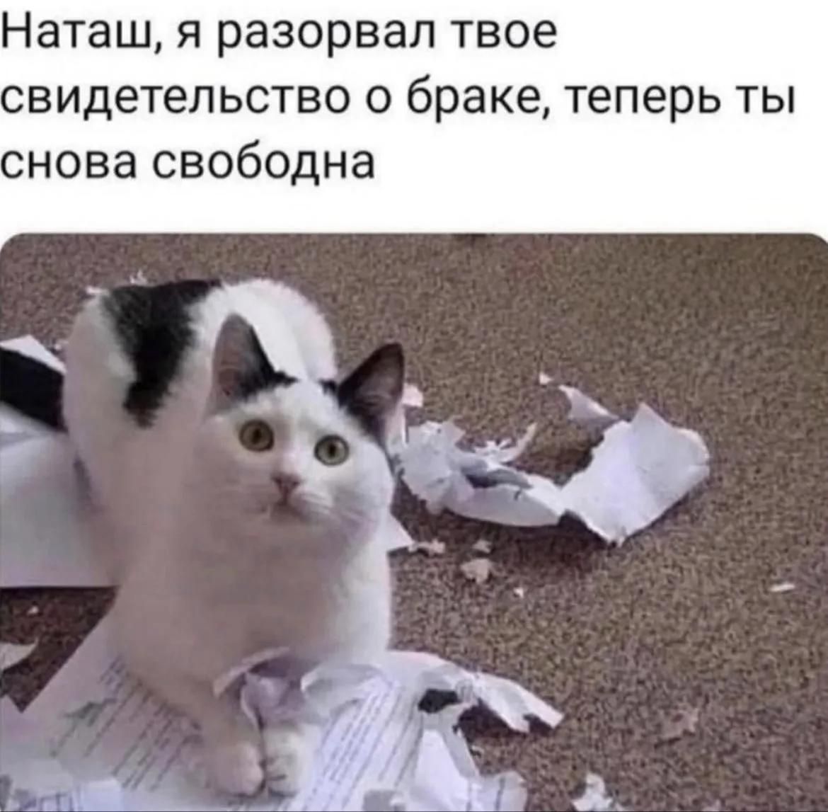 Наташ, я разорвал твое свидетельство о браке, теперь ты снова свободна