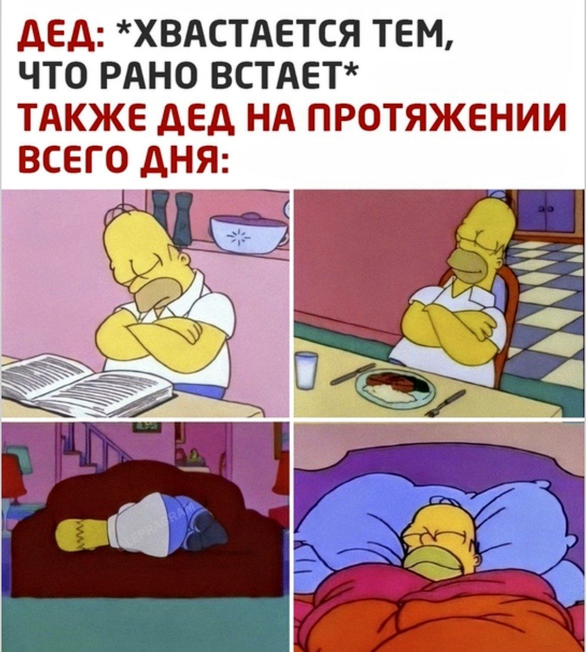 ДЕД: *ХВАСТАЕТСЯ ТЕМ, ЧТО РАНО ВСТАЕТ* ТАКЖЕ ДЕД НА ПРОТЯЖЕНИИ ВСЕГО ДНЯ: