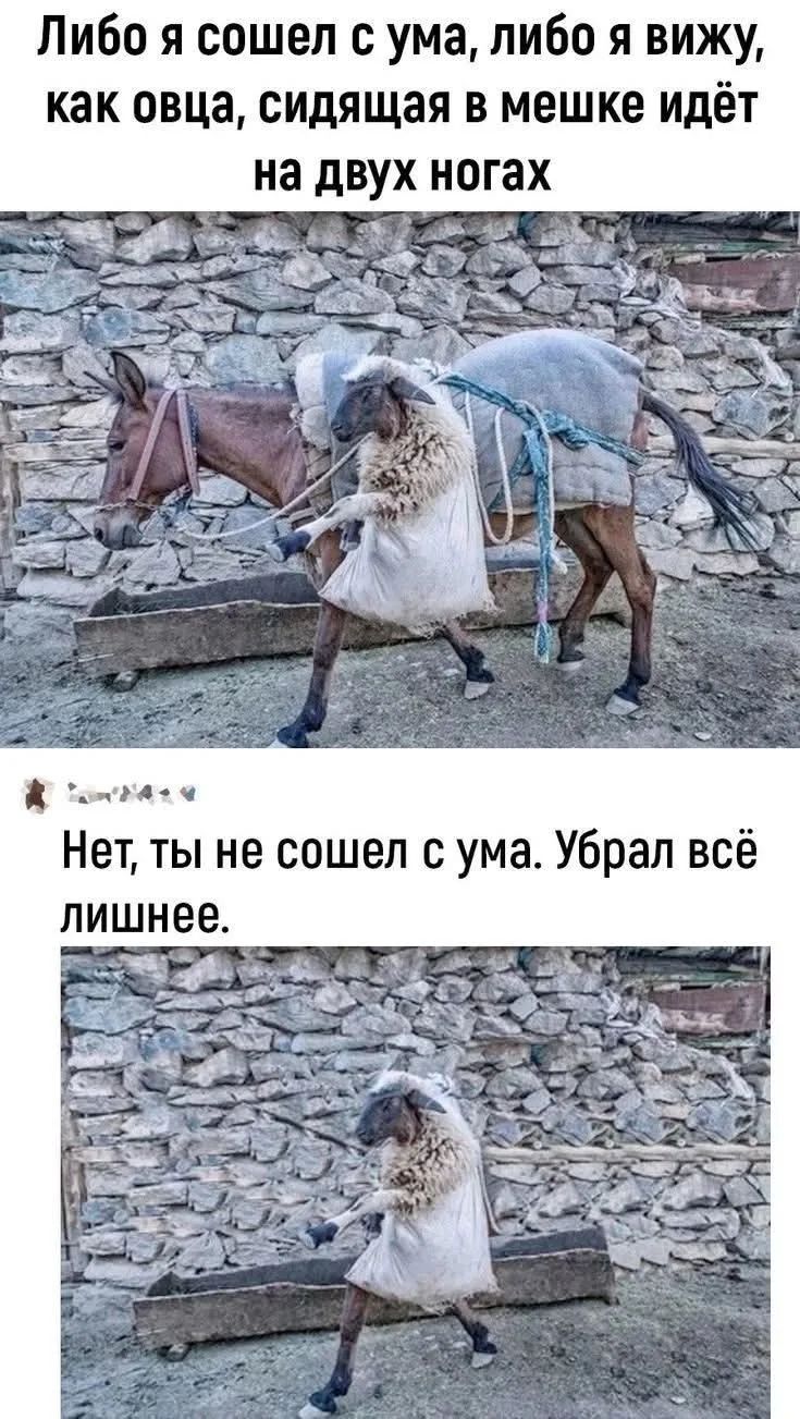 Либо я сошел с ума, либо я вижу, как овца, сидящая в мешке идёт на двух ногах. Нет, ты не сошел с ума. Убрал всё лишнее.