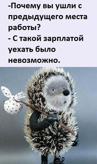 -Почему вы ушли с предыдущего места работы? - С такой зарплатой уехать было невозможно.
