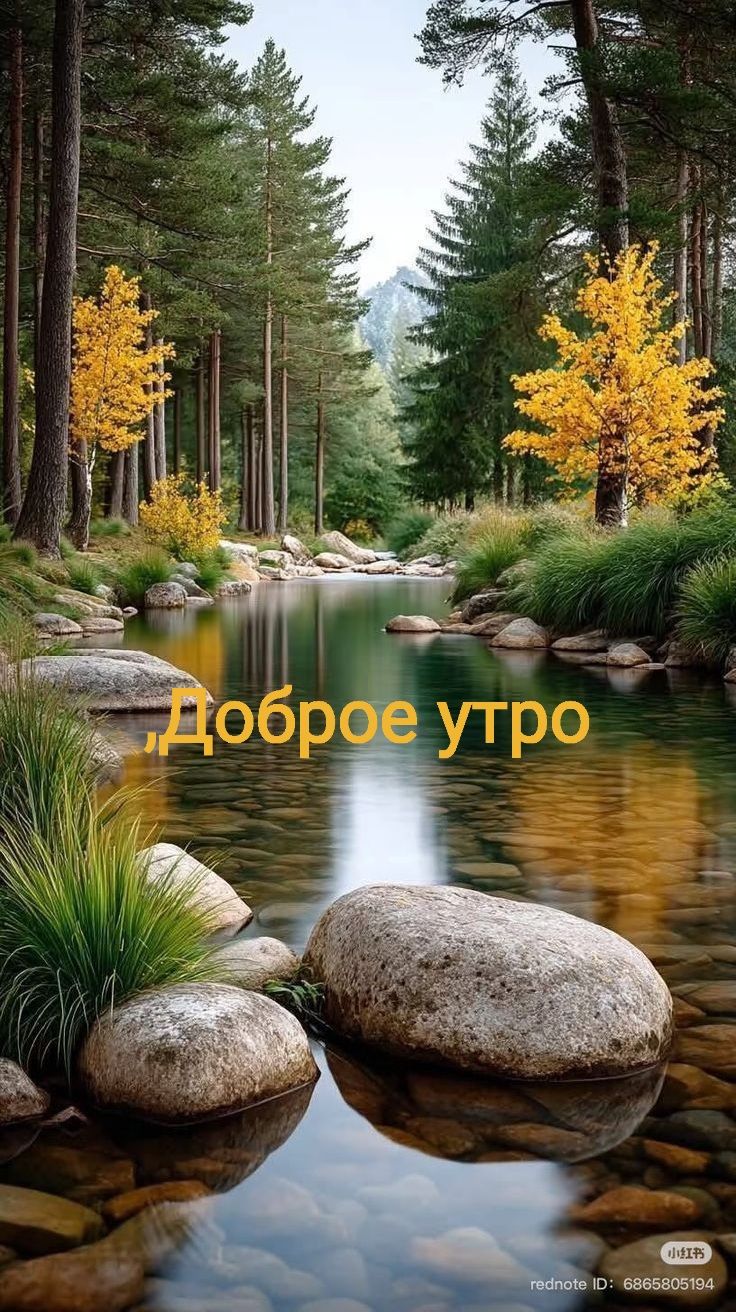 Доброе утро