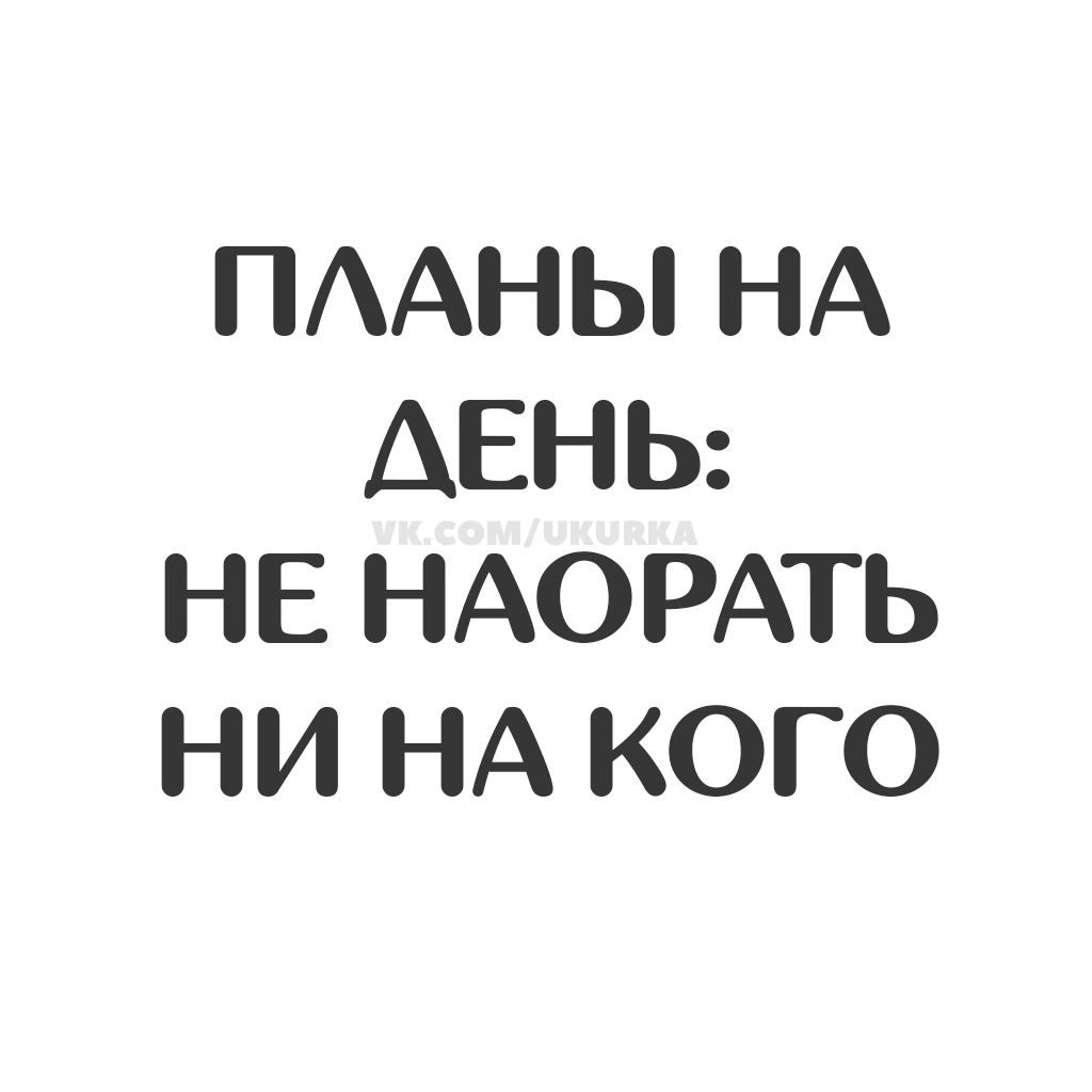 ПЛАНЫ НА ДЕНЬ: НЕ НАОРАТЬ НИ НА КОГО