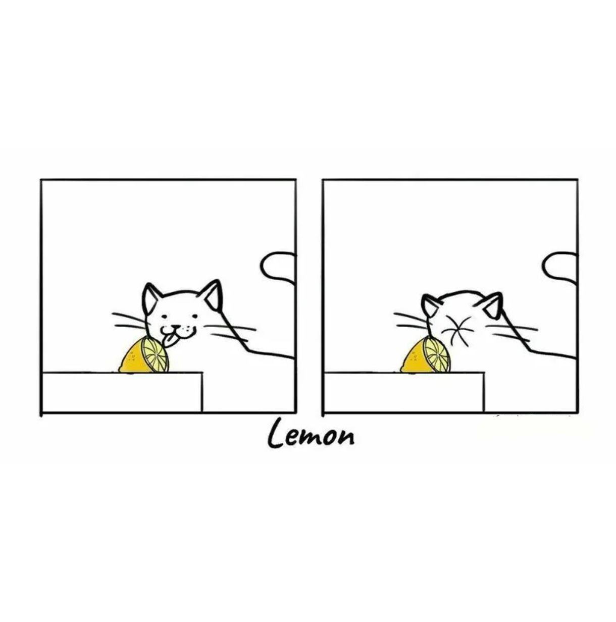 Lemon