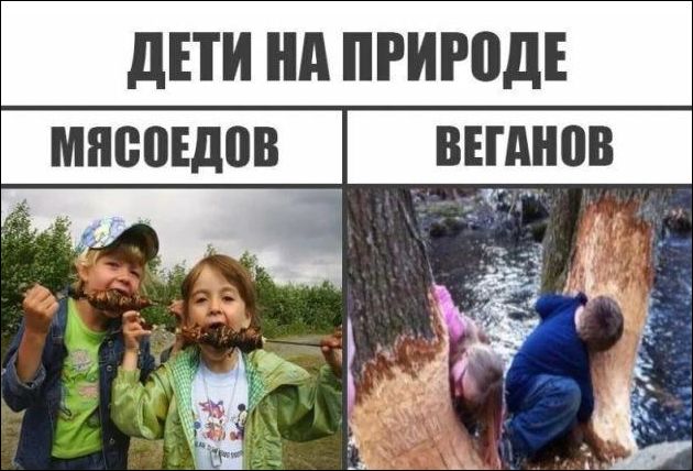 ДЕТИ НА ПРИРОДЕ МЯСОЕДОВ ВЕГАНОВ. Двое детей едят шашлык. Двое детей грызут деревья.
