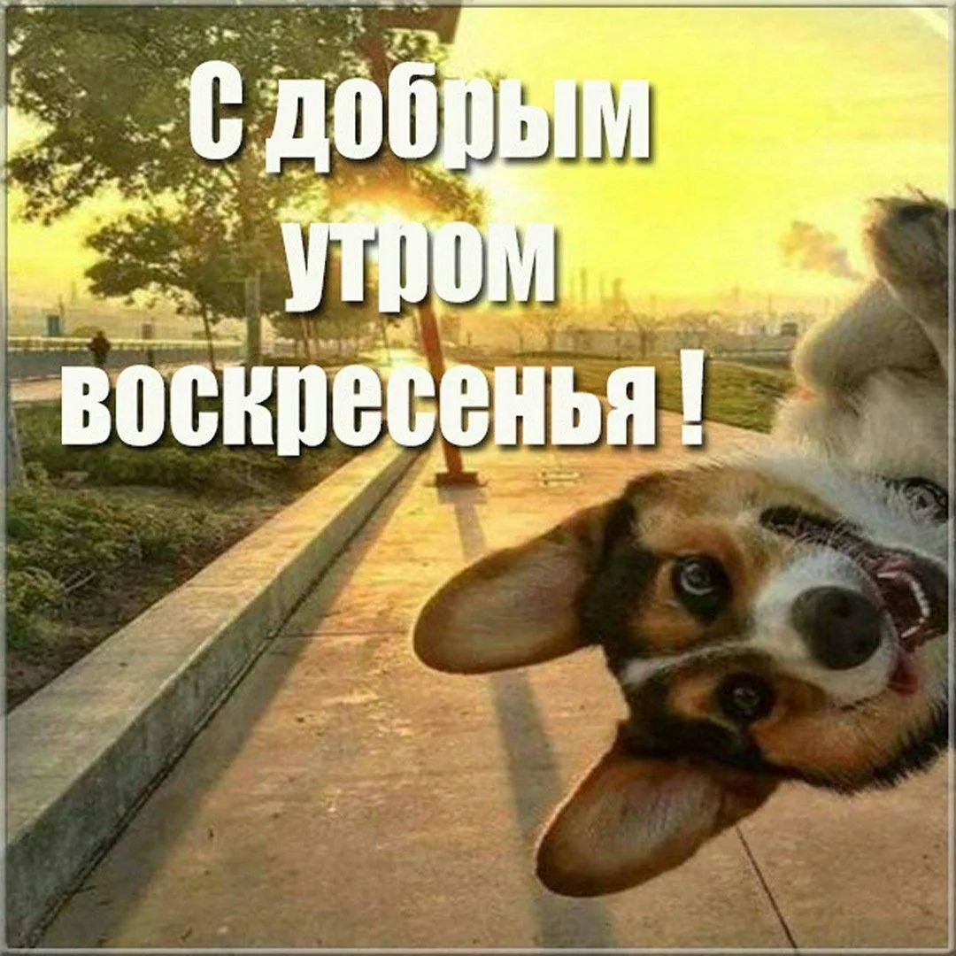 С добрым утром воскресенья!