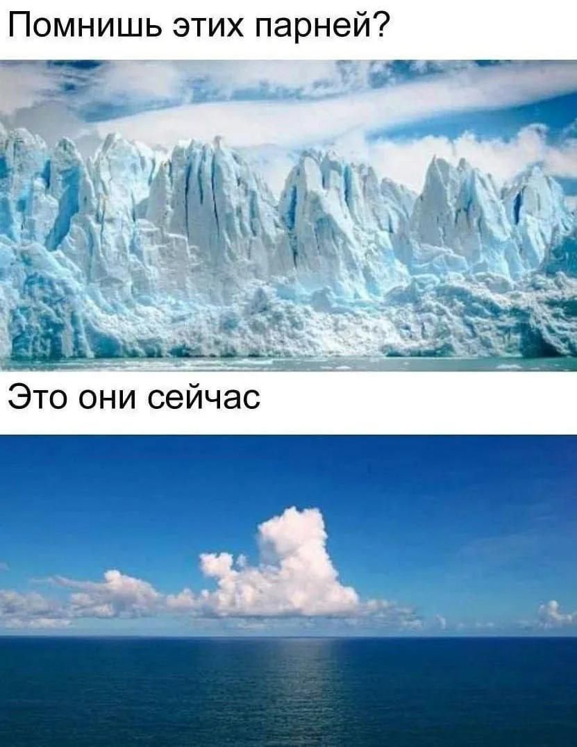 Помнишь этих парней? Это они сейчас