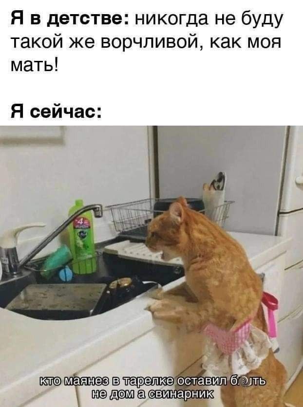 Я в детстве: никогда не буду такой же ворчливой, как моя мать! Я сейчас: кто маянез в тарелке оставил блять не дом а свинарник