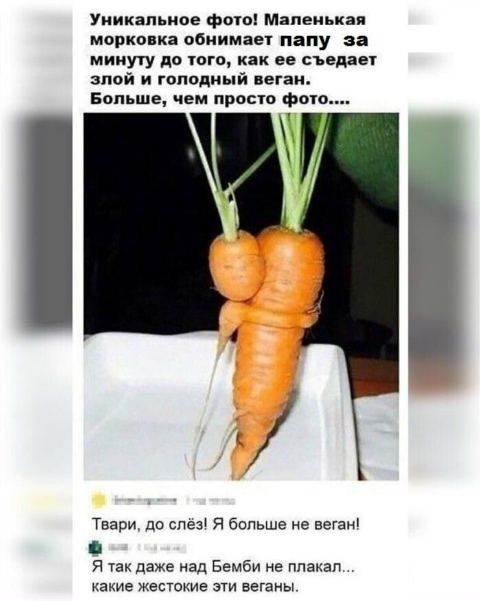 Уникальное фото! Маленькая морковка обнимает папу за минуту до того, как ее съедает злой и голодный веган. Больше, чем просто фото.... Твари, до слёз! Я больше не веган! Я так даже над Бемби не плакал... какие жестокие эти веганы.
