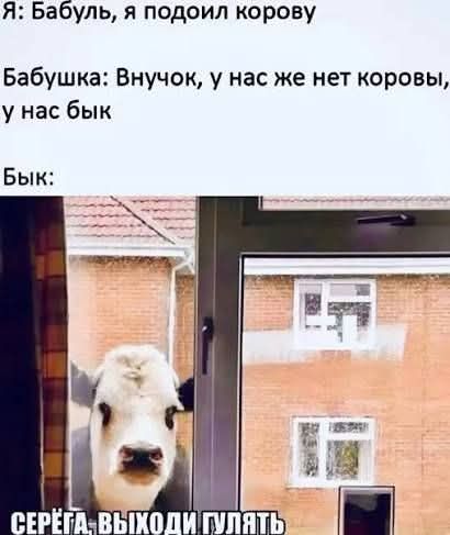 Я: Бабуль, я подоил корову
Бабушка: Внучок, у нас же нет коровы, у нас бык
Бык:
СЕРЁГА, ВЫХОДИ ГУЛЯТЬ