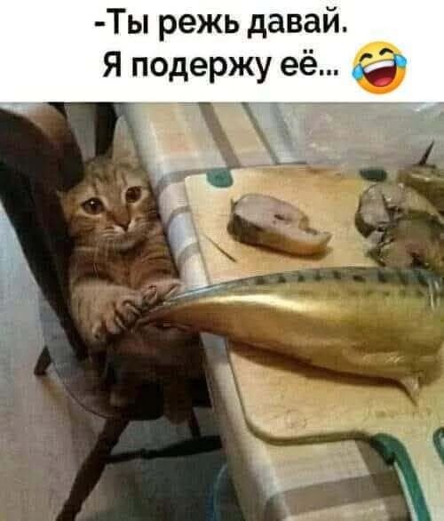 -Ты режь давай. Я подержу её...