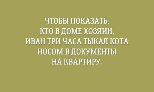 ЧТОБЫ ПОКАЗАТЬ, КТО В ДОМЕ ХОЗЯИН, ИВАН ТРИ ЧАСА ТЫКАЛ КОТА НОСОМ В ДОКУМЕНТЫ НА КВАРТИРУ.