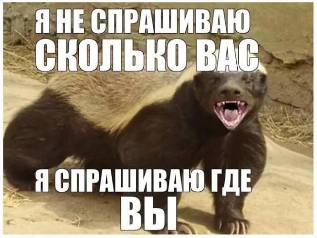 Я НЕ СПРАШИВАЮ СКОЛЬКО ВАС Я СПРАШИВАЮ ГДЕ ВЫ