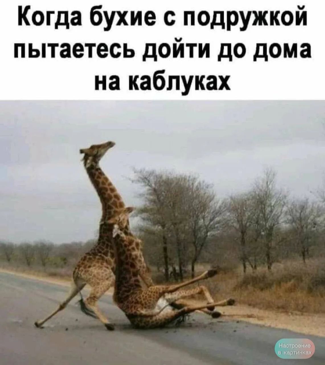 Когда бухие с подружкой пытаетесь дойти до дома на каблуках