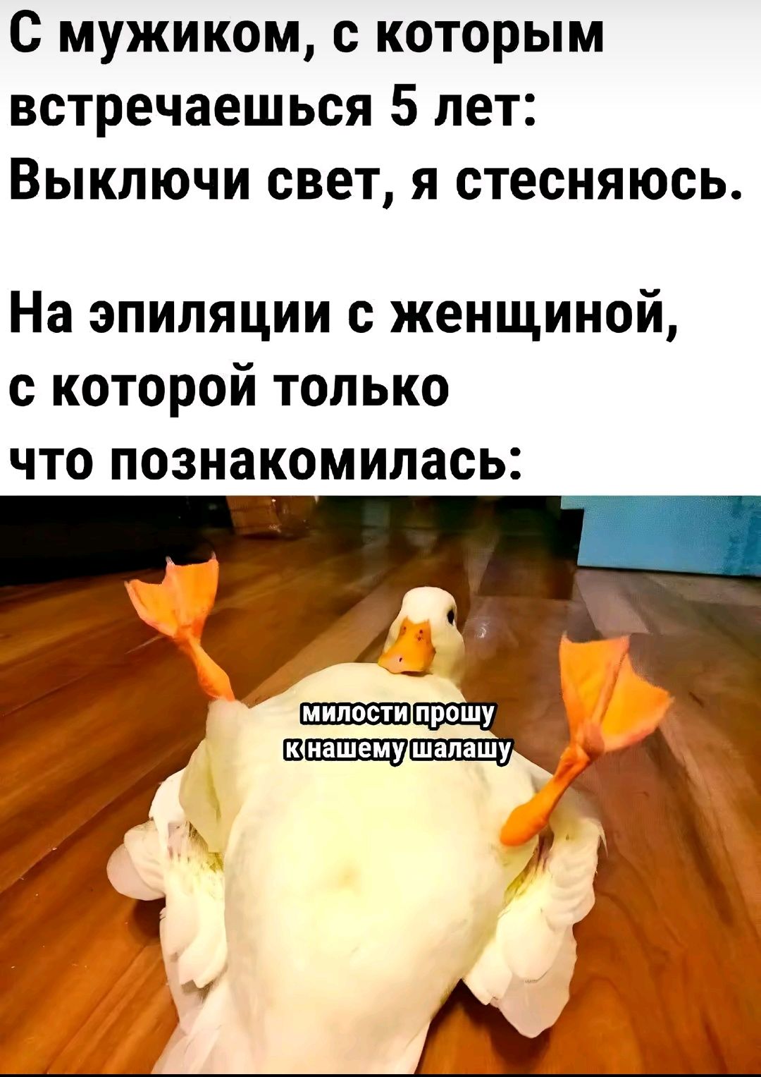 С мужиком, с которым встречаешься 5 лет: Выключи свет, я стесняюсь. На эпиляции с женщиной, с которой только что познакомилась: милости прошу к нашему шалашу