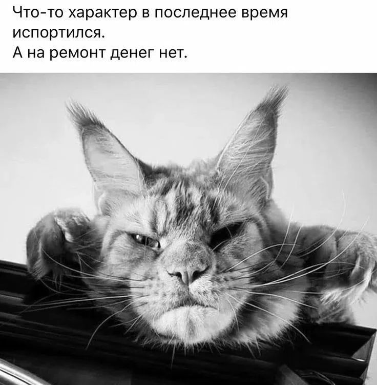 Что-то характер в последнее время испортился. А на ремонт денег нет.