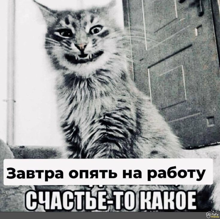 Завтра опять на работу СЧАСТЬЕ-ТО КАКОЕ
