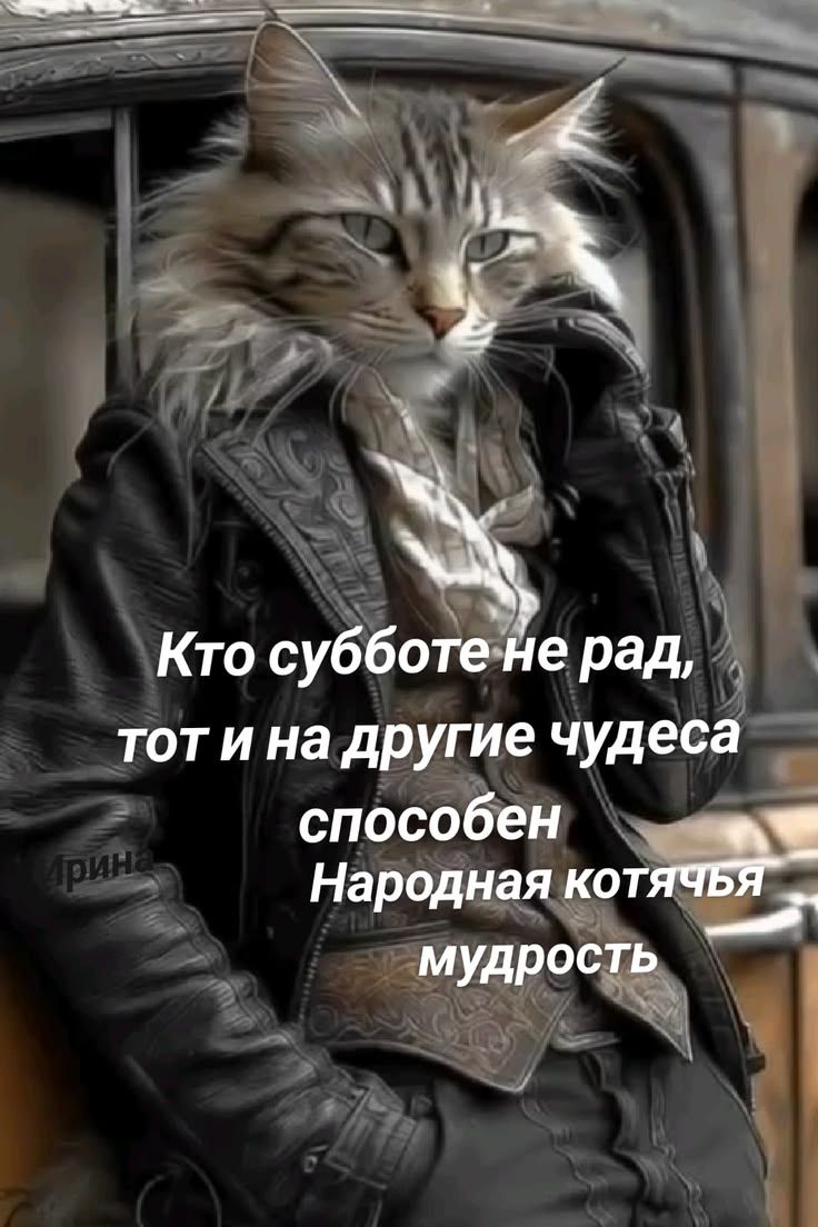 Кто субботе не рад, тот и на другие чудеса способен. Народная котячья мудрость.