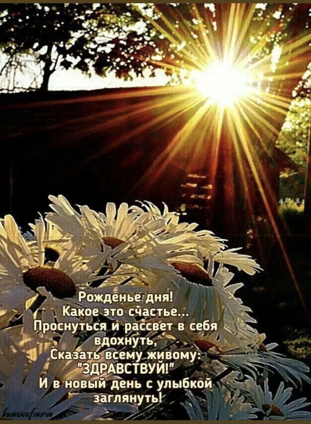 Рожденье дня! Какое это счастье... Проснуться и рассвет в себя вдохнуть, Сказать всему живому: 