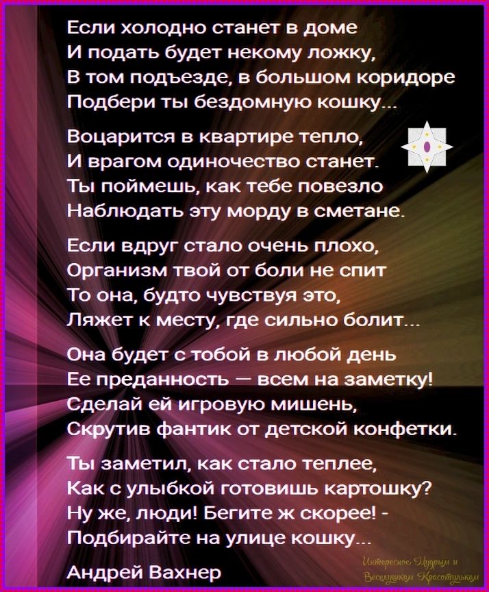 Если холодно станет в доме И подать будет некому ложку, В том подъезде, в большом коридоре Подбери ты бездомную кошку... Воцарится в квартире тепло, И врагом одиночество станет. Ты поймешь, как тебе повезло Наблюдать эту морду в сметане. Если вдруг стало очень плохо, Организм твой от боли не спит То она, будто чувствуя это, Ляжет к месту, где