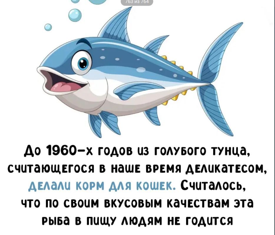 До 1960-х годов из голубого тунца, считающегося в наше время деликатесом, ДЕЛАЛИ КОРМ ДЛЯ КОШЕК. Считалось, что по своим вкусовым качествам эта рыба в пищу людям не годится