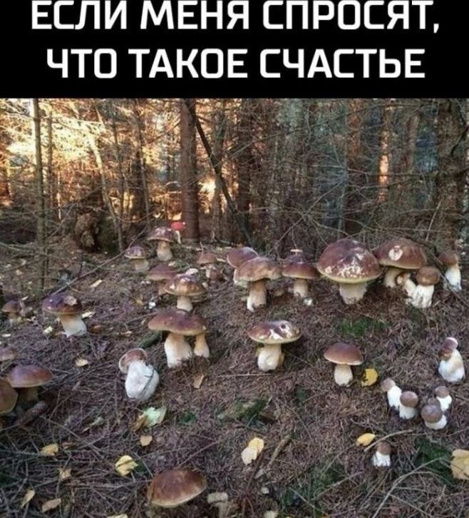 ЕСЛИ МЕНЯ СПРОСЯТ, ЧТО ТАКОЕ СЧАСТЬЕ