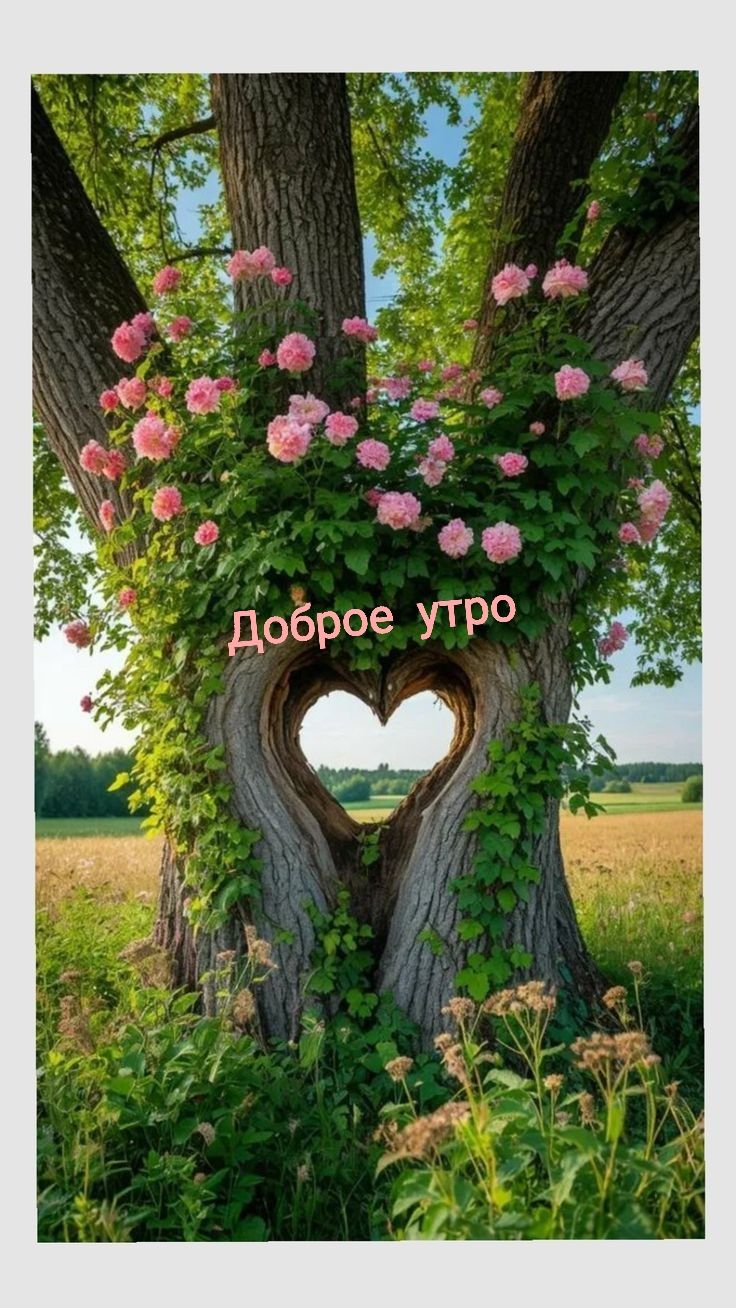 Доброе утро