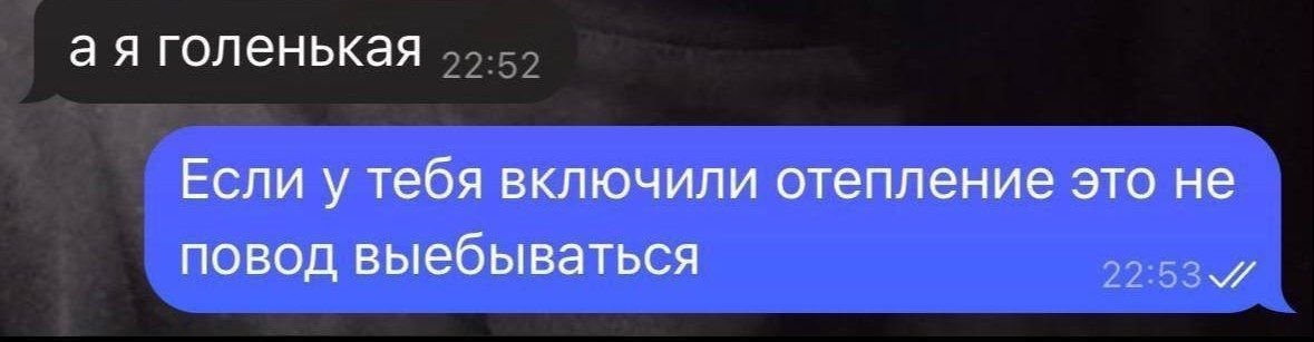 а я голенькая 22:52 Если у тебя включили отепление это не повод выебываться 22:53