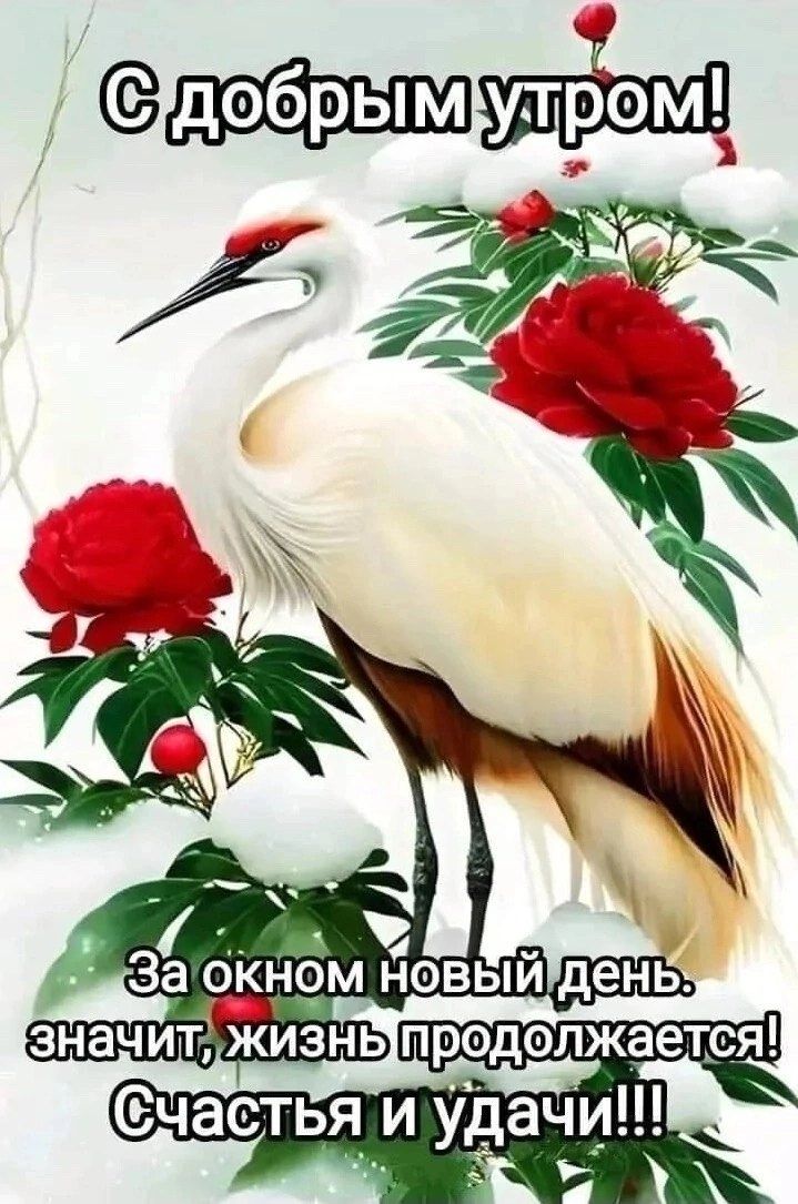 С добрым утром! За окном новый день. Значит, жизнь продолжается! Счастья и удачи!!!