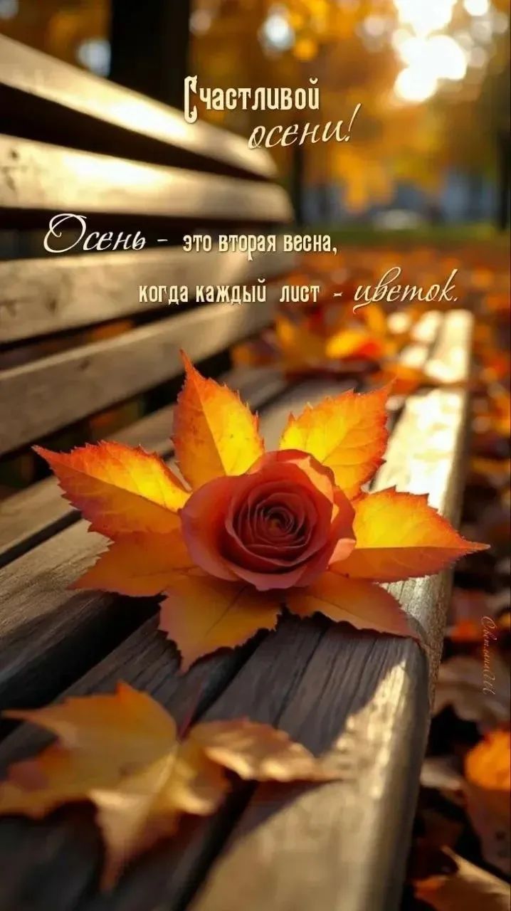 Счастливой осени! Осень — это вторая весна, когда каждый лист — цветок.