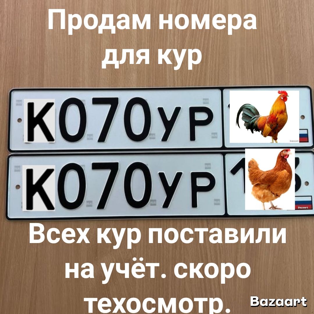 Продам номера для кур К070УР Всех кур поставили на учёт. скоро техосмотр.