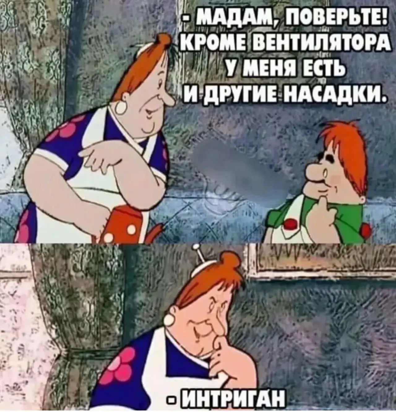 - Мадам, поверьте! Кроме вентилятора у меня есть и другие насадки. - Интриган