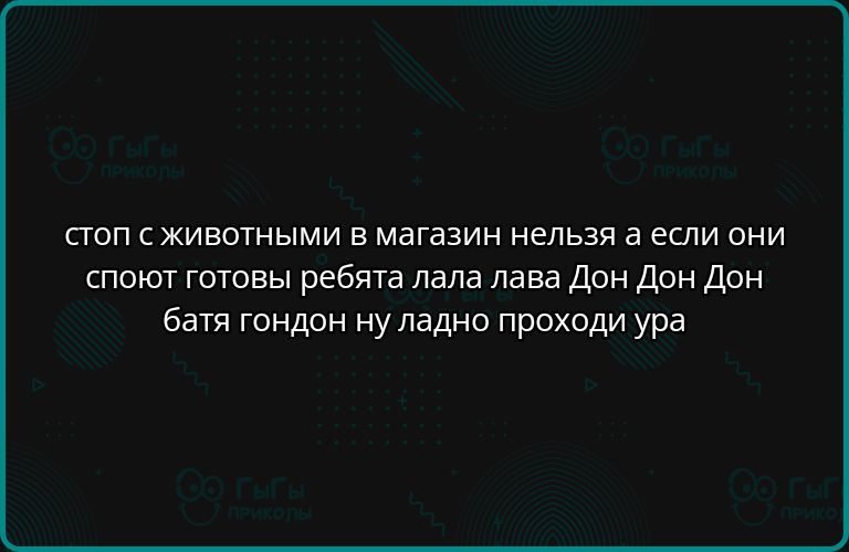 СТОП С ЖИВОТНЫМИ В МАГАЗИН НЕЛЬЗЯ А ЕСЛИ ОНИ СПОЮТ ГОТОВЫ РЕБЯТА ЛАЛА ЛАВА ДОН ДОН ДОН БАТЯ ГОНДОН НУ ЛАДНО ПРОХОДИ УРА