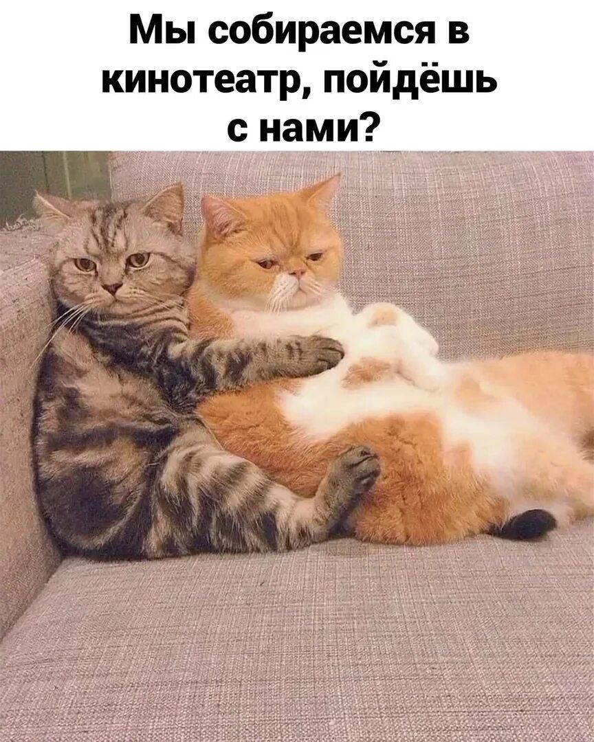 Мы собираемся в кинотеатр, пойдёшь с нами?