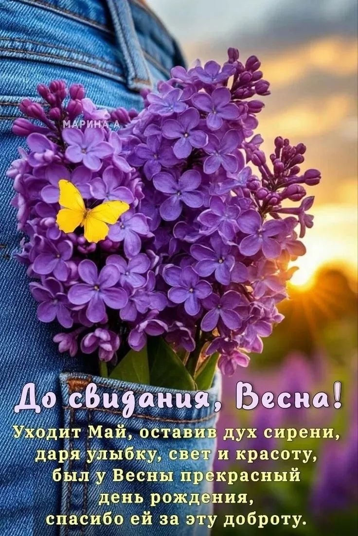 МАРИНА А До свидания, Весна! Уходит Май, оставив дух сирени, даря улыбку, свет и красоту, был у Весны прекрасный день рождения, спасибо ей за эту доброту.