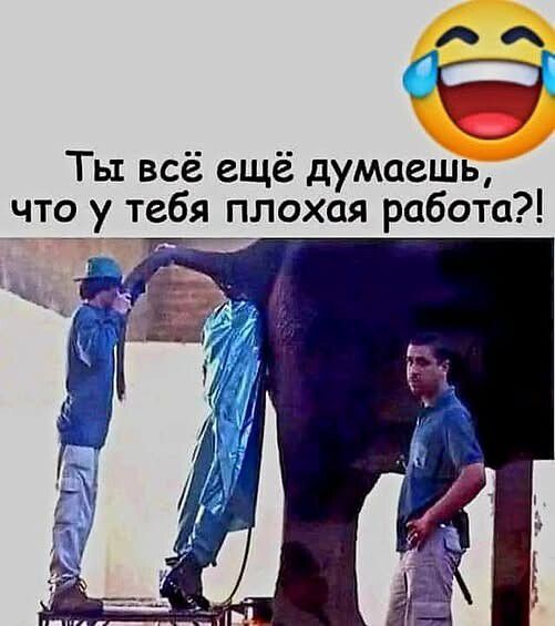 Ты всё ещё думаешь, что у тебя плохая работа?!